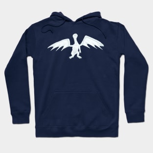 Aithusa Hoodie